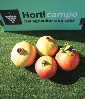 Frutas en Sevilla